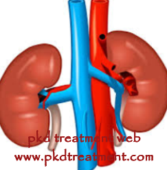 Survive from Kidney Failure