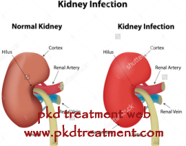 Home Remedies for Kidney Infection