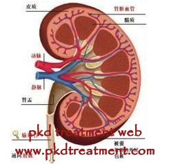 Is It Dangerous to Have 8 cm Kidney Cyst 