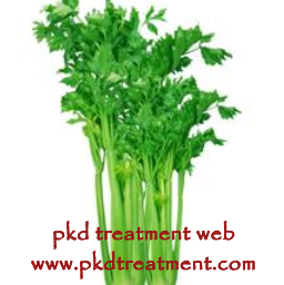 Celery Is Good for Patients with PKD 