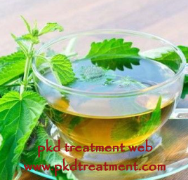 Nettle Leaf Help with Dialysis 
