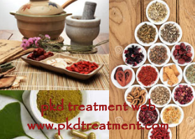 How to Make Kidney Function Revive for CKD Patients 