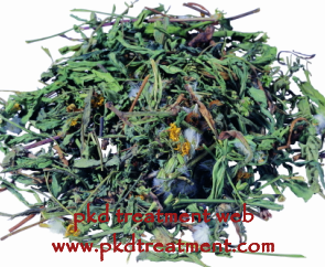 Chinese Medicine Treatment for 6.8 cm Kidney Cyst