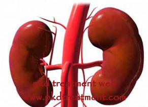 How Can Kidney Failure Patients Avoid Kidney Transplant