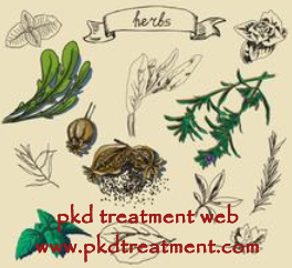 How to Treat PKD with Cyst 7 cm and Creatinine 3