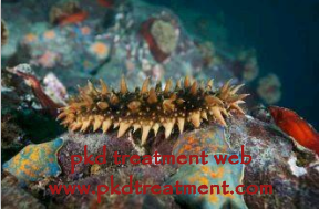Can Kidney Failure Patents Eat Sea Cucumber